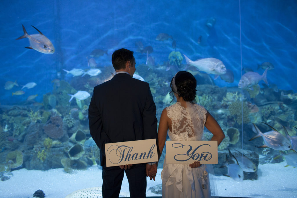Melbourne Sealife Aquarium Wedding